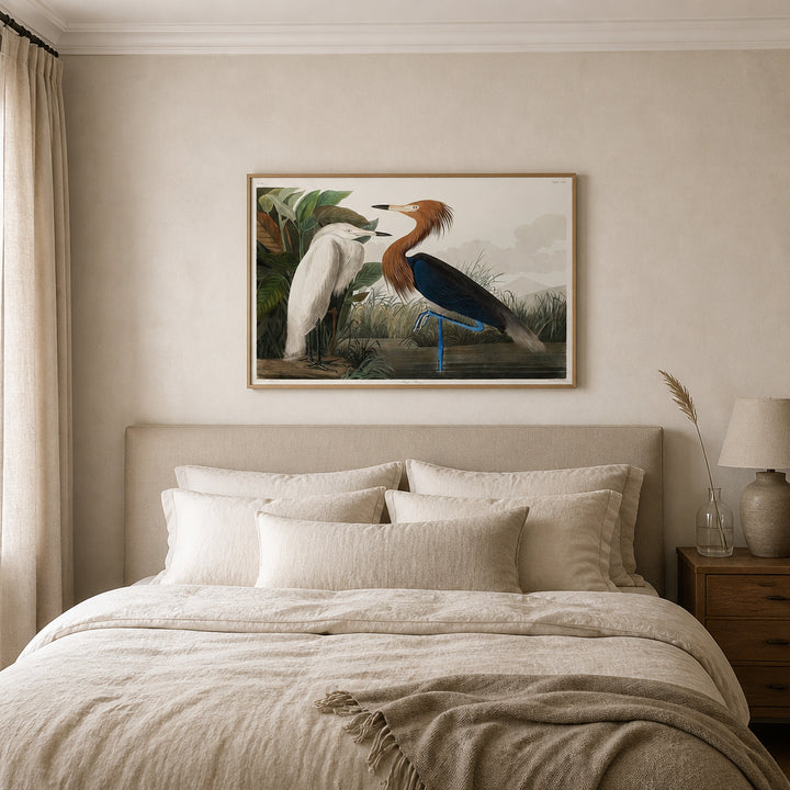 Room mockup featuring Purple Heron by John James Audubon Art Print