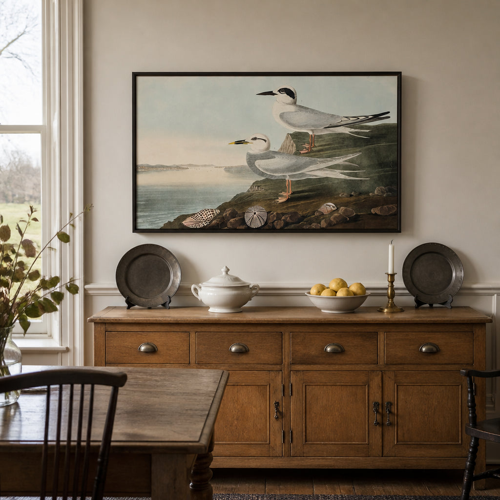 Room mockup featuring Havell's & Trudeau Terns by John James Audubon Wall Art Print