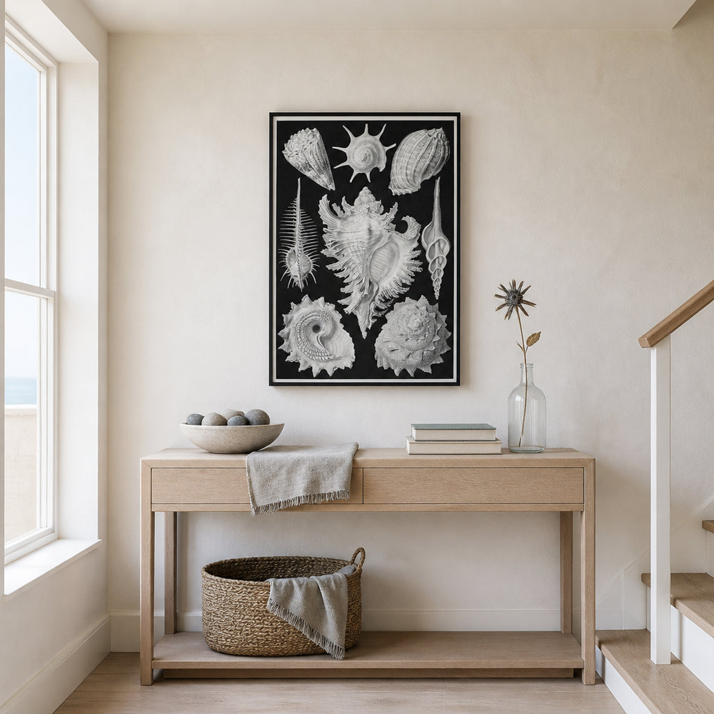 Room mockup featuring Prosobrachia-Dorderkiemen Schnecken Shell Art Print