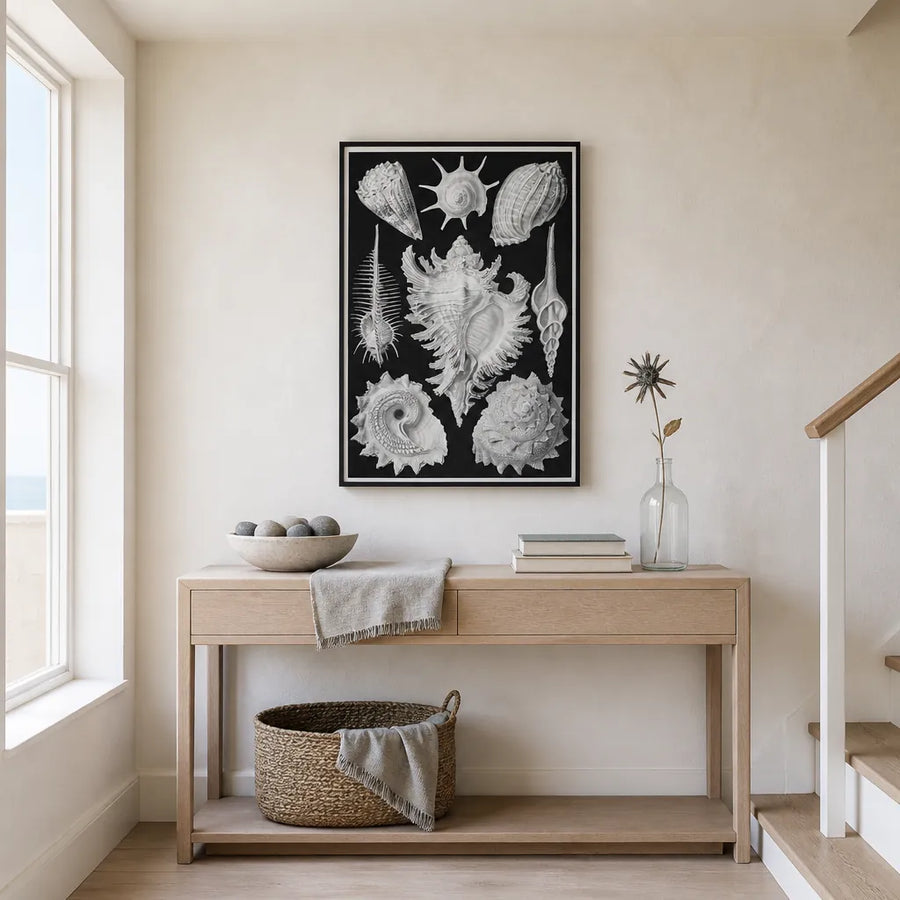 Prosobrachia-Dorderkiemen Schnecken Shell Art Print in a room setting