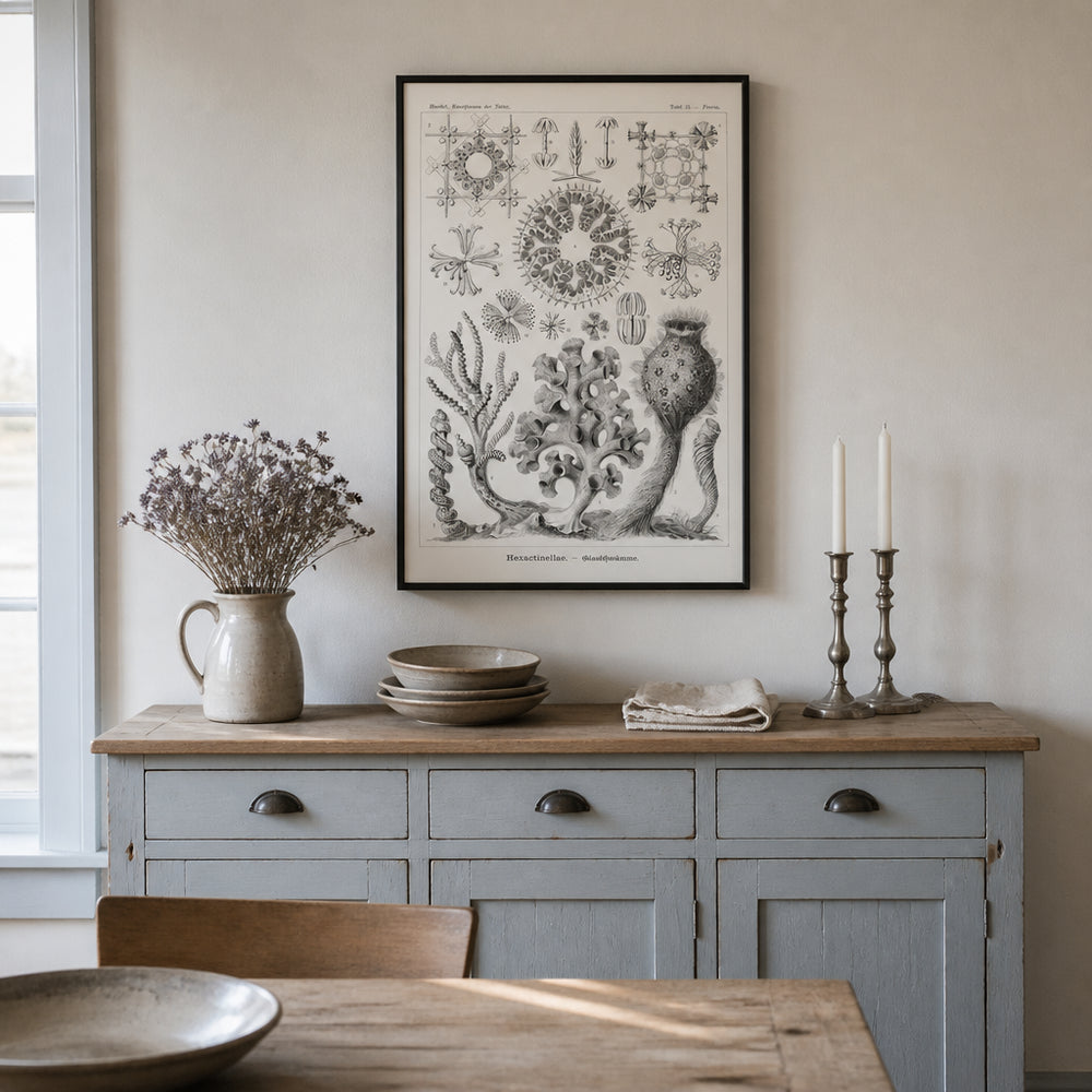 Room mockup featuring Hexactinellae-Glasschwamme Coastal Art Print