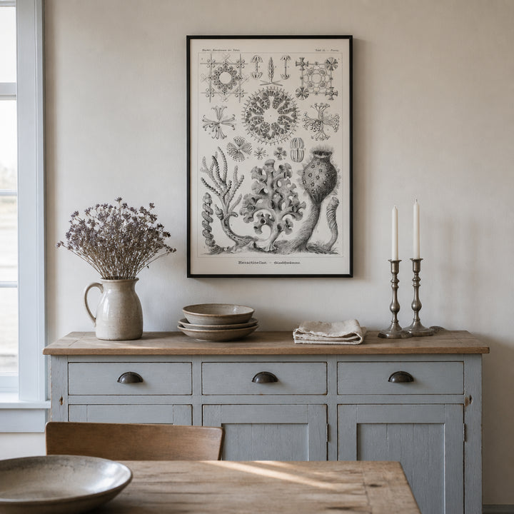 Room mockup featuring Hexactinellae-Glasschwamme Coastal Art Print