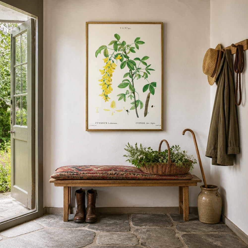 Room mockup featuring Common Laburnum Vintage Flower Art Print