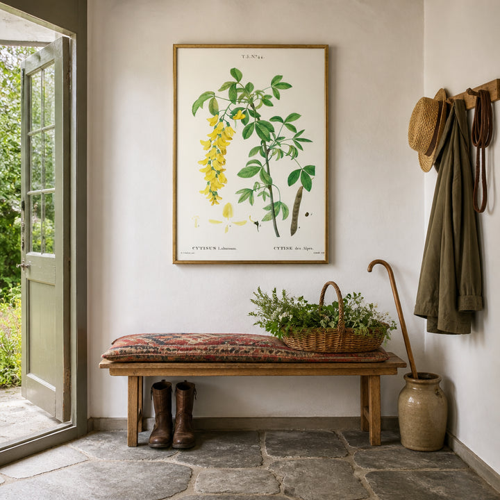 Room mockup featuring Common Laburnum Vintage Flower Art Print