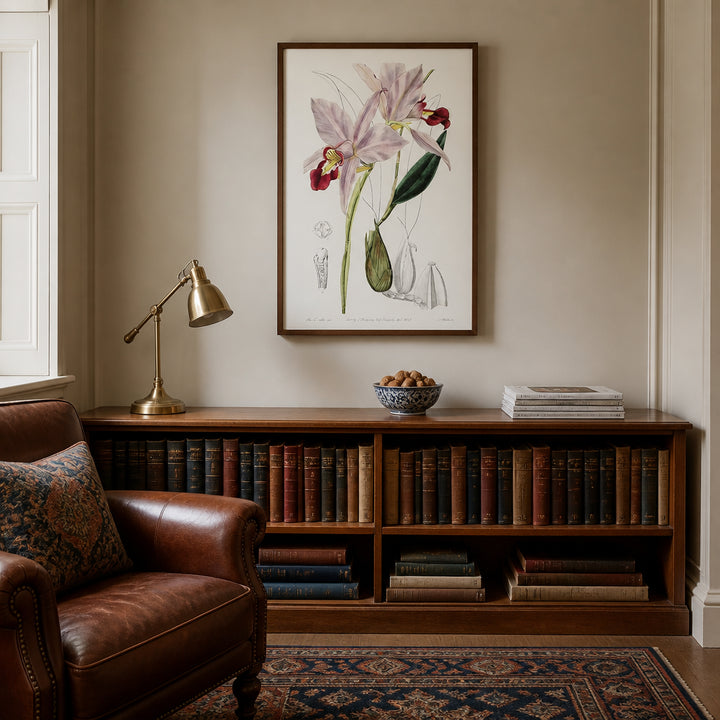 Room mockup featuring Bordered Dwarf Cattleya Vintage Flower Art Print