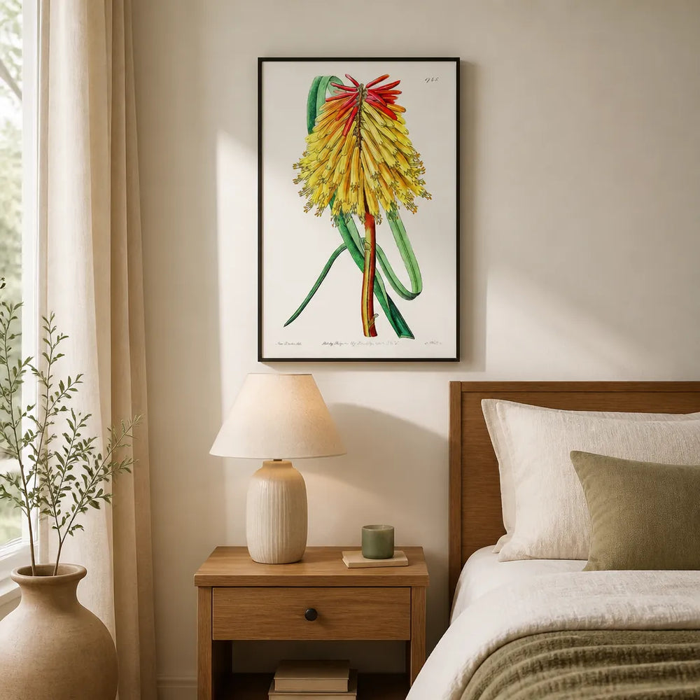 Room mockup featuring Burchell's Tritoma Vintage Flower Art Print
