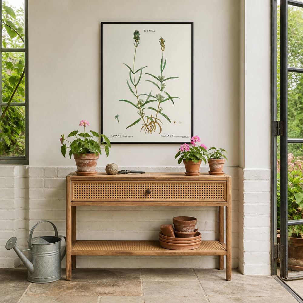 Room mockup featuring Broadleaved Lavender Vintage Botanical Art Print
