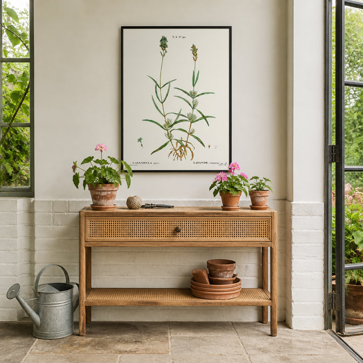 Room mockup featuring Broadleaved Lavender Vintage Botanical Art Print