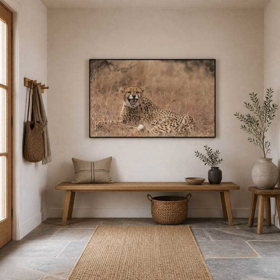 Cheetah's Roar Emotion Photo Print in a room setting