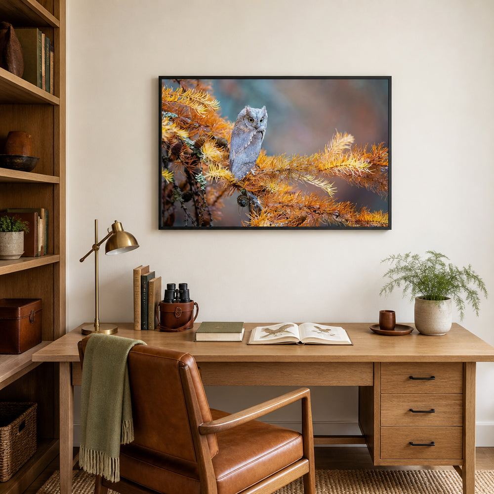 Room mockup featuring Autumn Perch Owl Photo Print