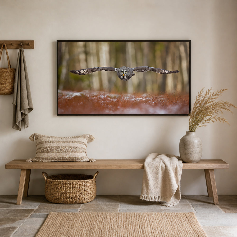 Room mockup featuring Forest Flight Owl Photo Print
