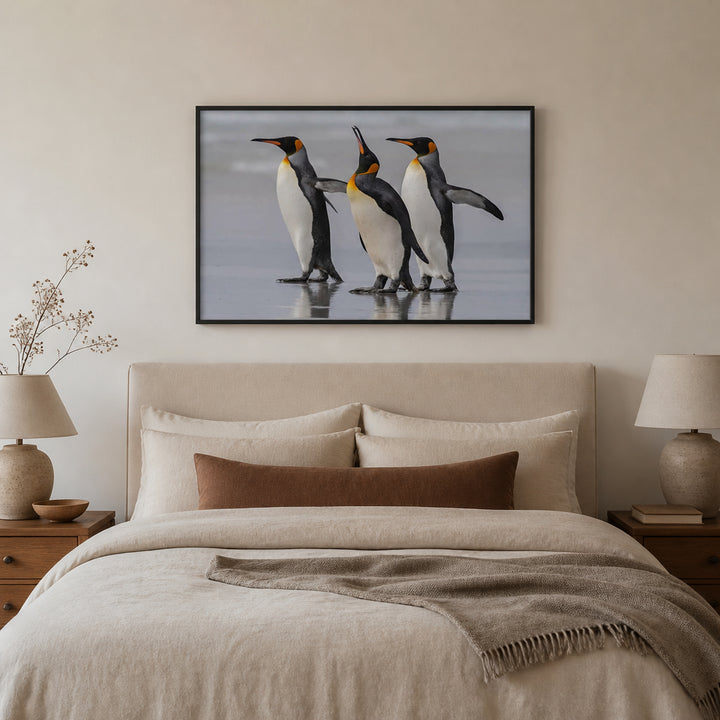 Room mockup featuring Regal Penguins Of The Falklands Photo Print