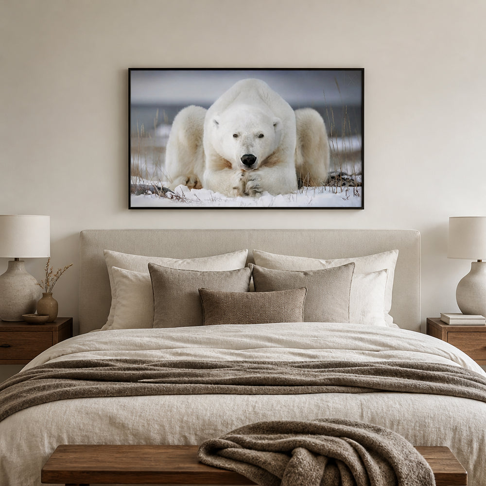 Room mockup featuring Polar Awakening Run Photo Print