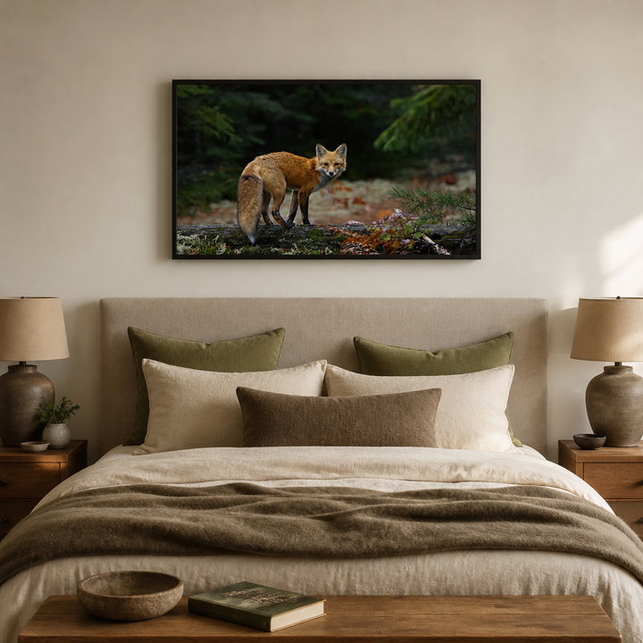 Room mockup featuring Algonquin Red Fox Serenity Photo Print