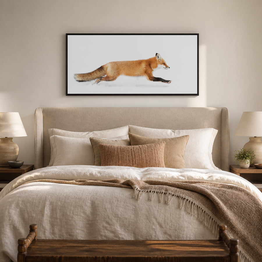 Algonquin Running Red Fox Photo Print in a room setting