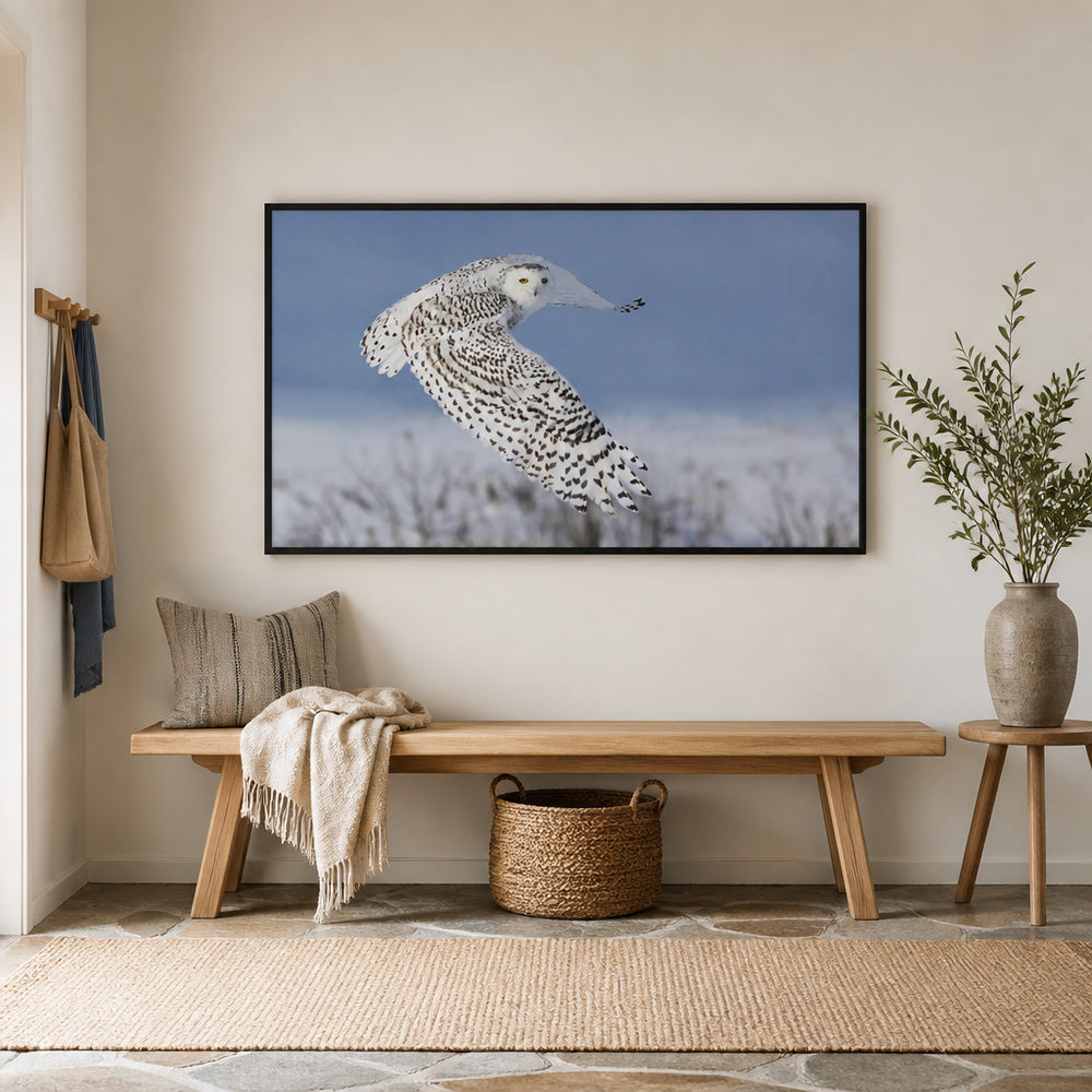 Room mockup featuring Snowy Owl Flight Photo Print
