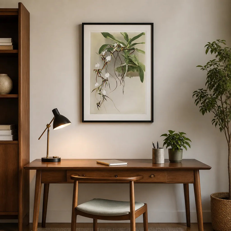 Angraecum caudatum by Frederick Sander Art Print in a room setting