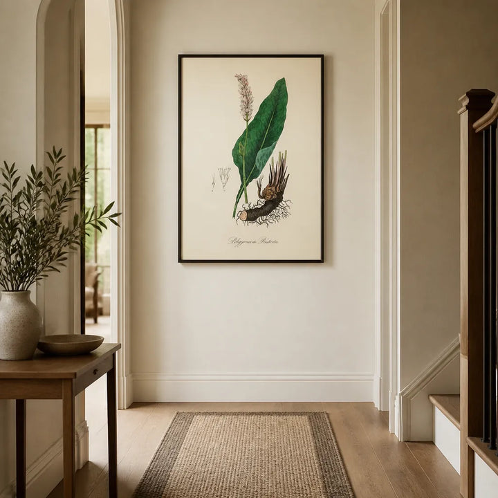 Room mockup featuring Bistort Illustration by John Stephenson Art Print