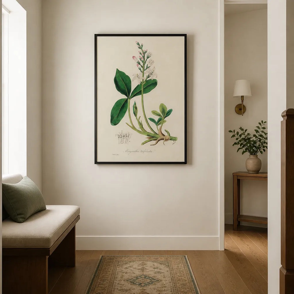 Room mockup featuring Bogbean Illustration by John Stephenson Art Print