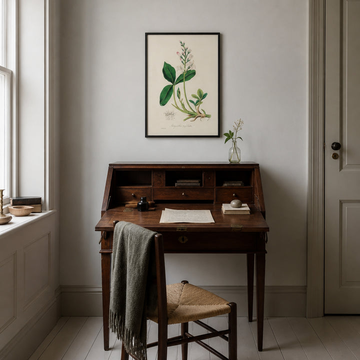 Room mockup featuring Bogbean Illustration by John Stephenson Art Print