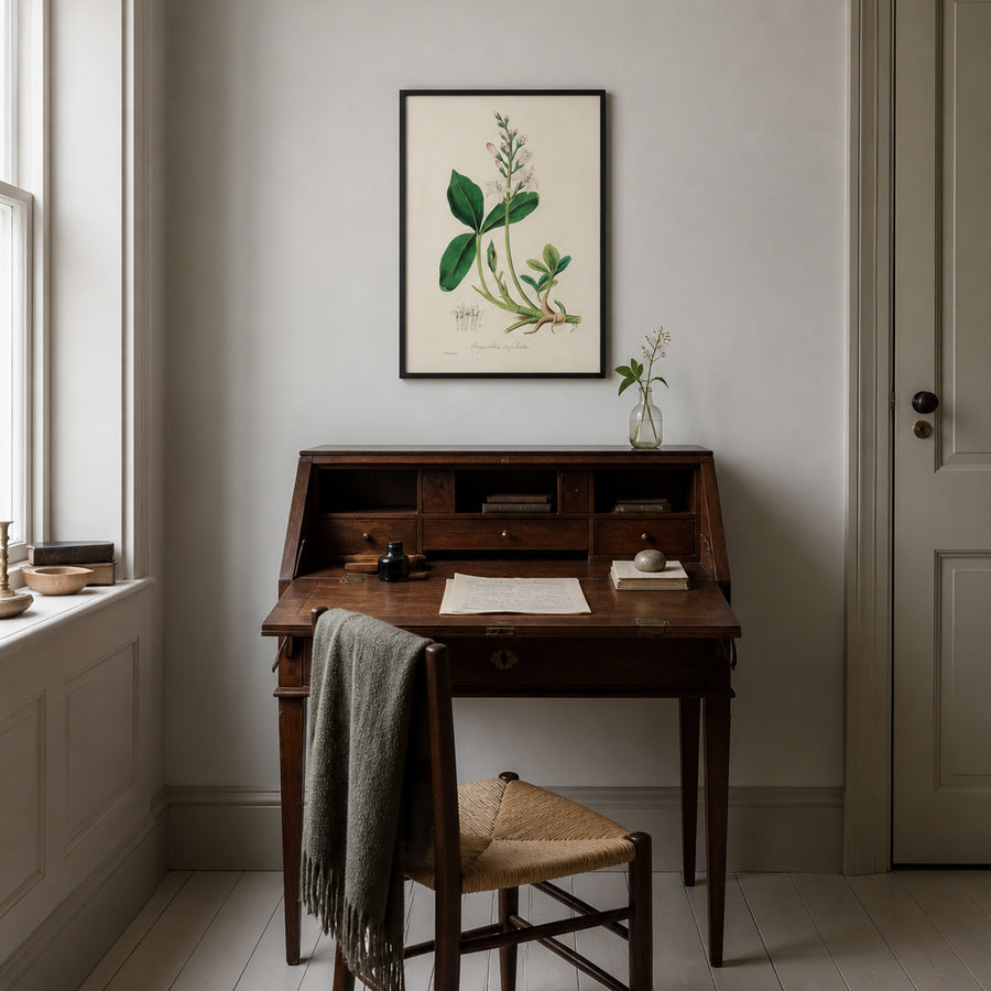 Bogbean Illustration by John Stephenson Art Print in a room setting