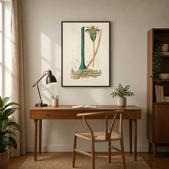 Room mockup featuring Zingiber Officinale by John Stephenson Art Print