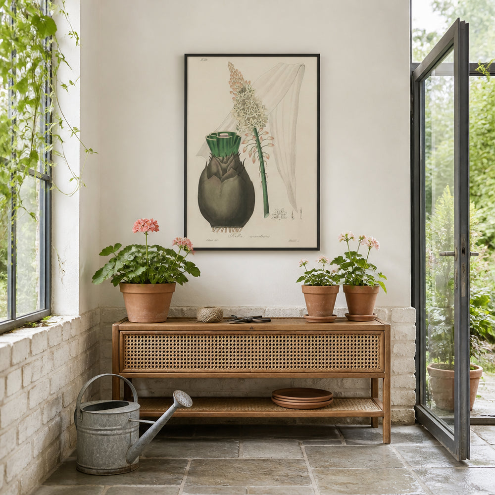 Room mockup featuring Squill Illustration by John Stephenson Art Print