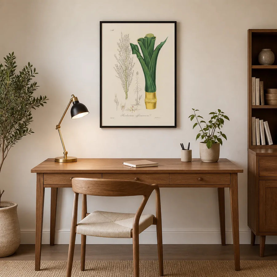 Saccharum officinarum by John Art Print in a room setting