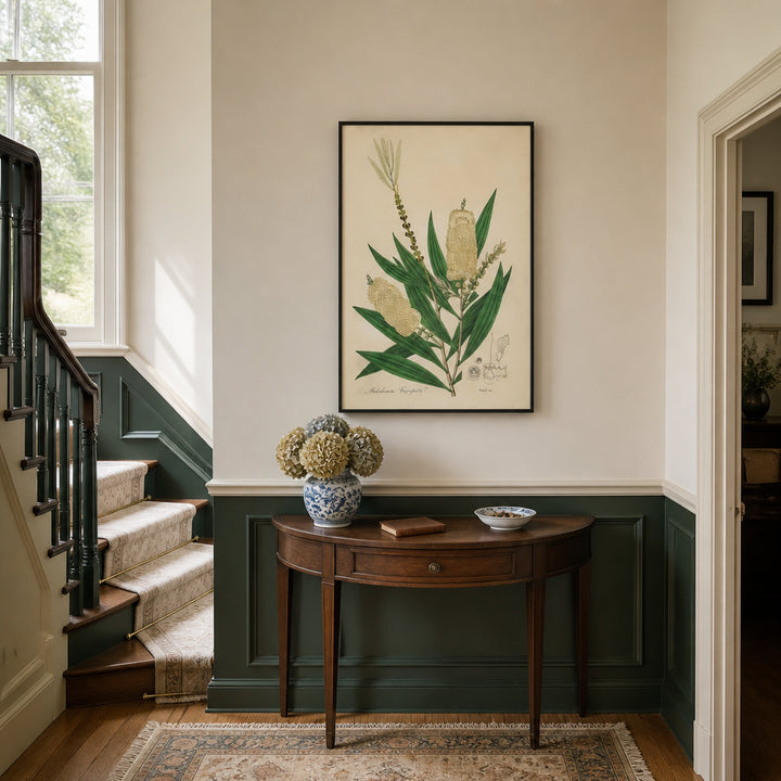 Room mockup featuring Melaleuca (Cajeput) by John Art Print