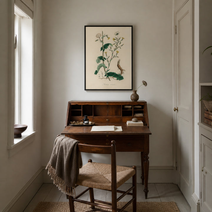Room mockup featuring Wild Lettuce Illustration Medical Botany Art Print