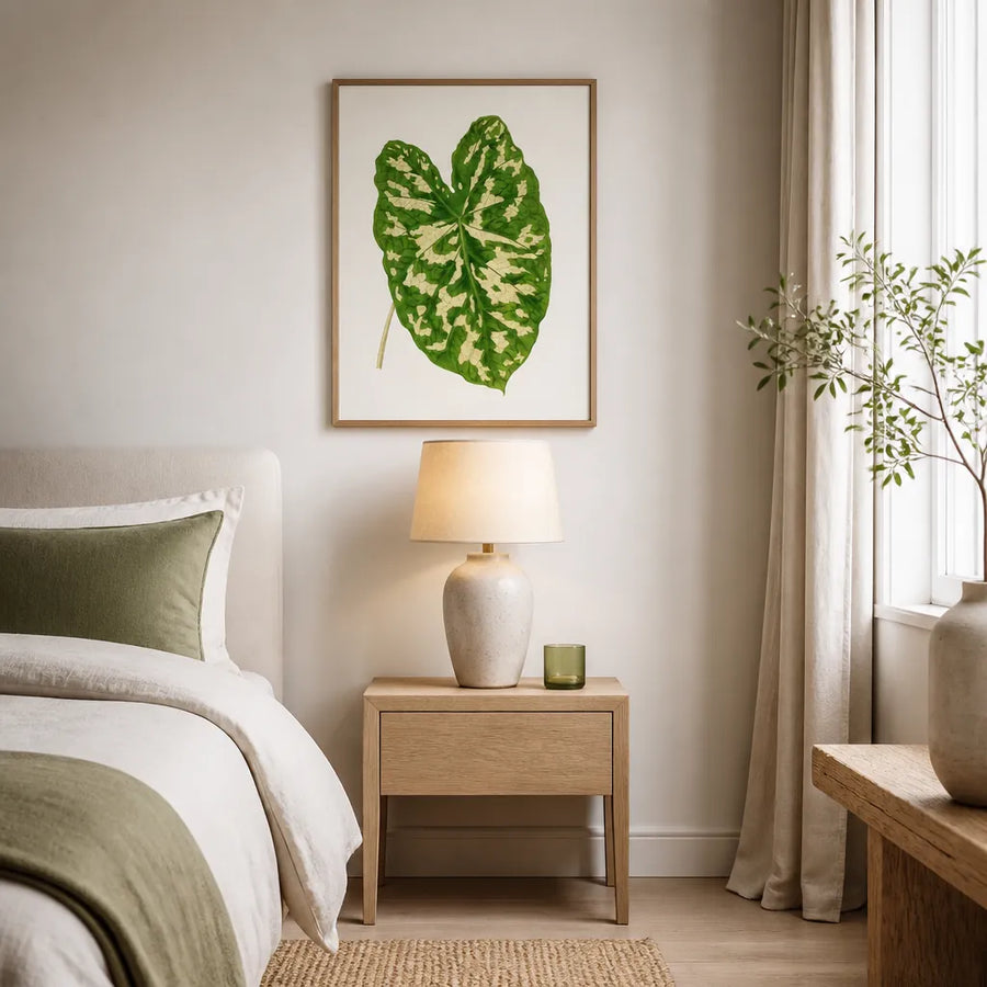 Caladium Pictum Leaf Illustration Art Print in a room setting