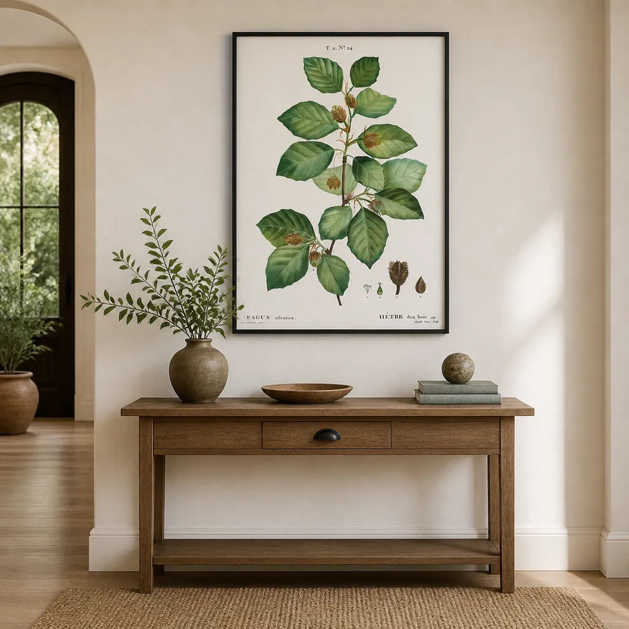 European Beech Art Print in a room setting