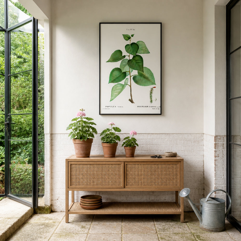 Room mockup featuring Populus Graeca Art Print