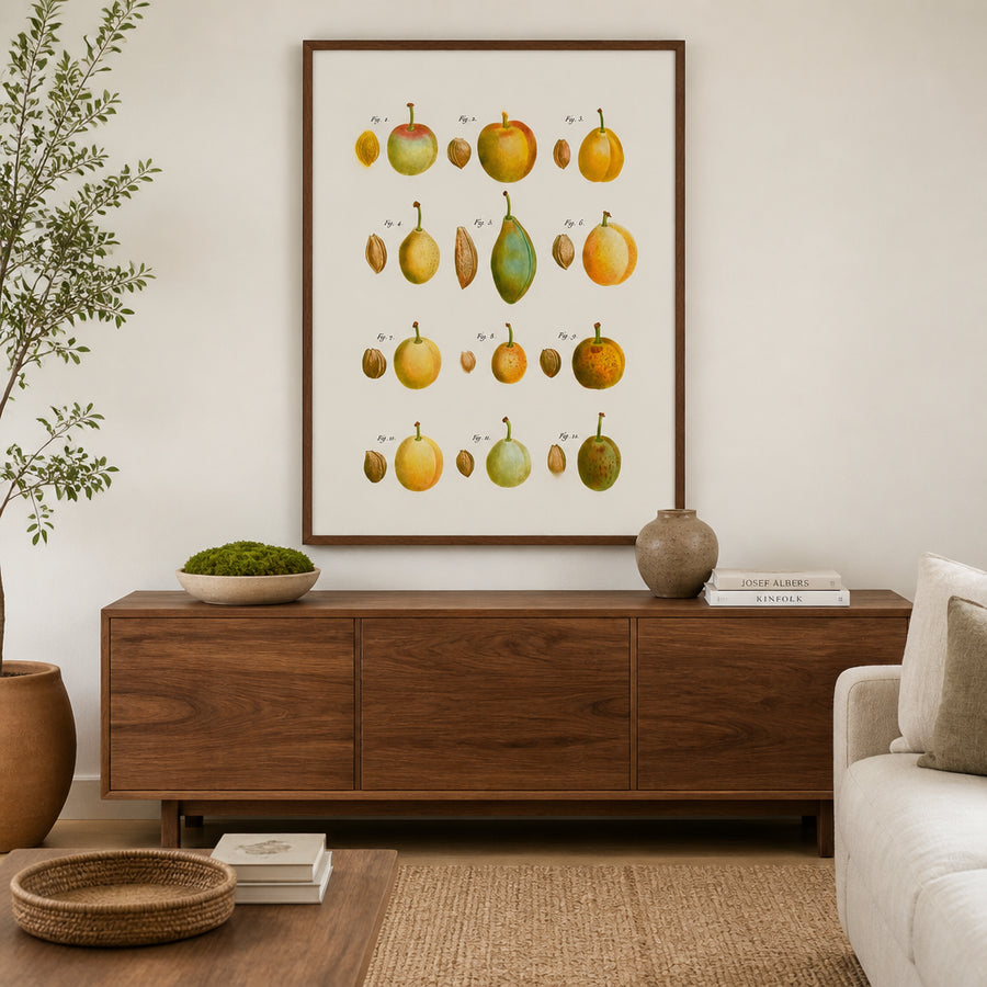 Common Plums by Pierre-Joseph Redouté Art Print in a room setting