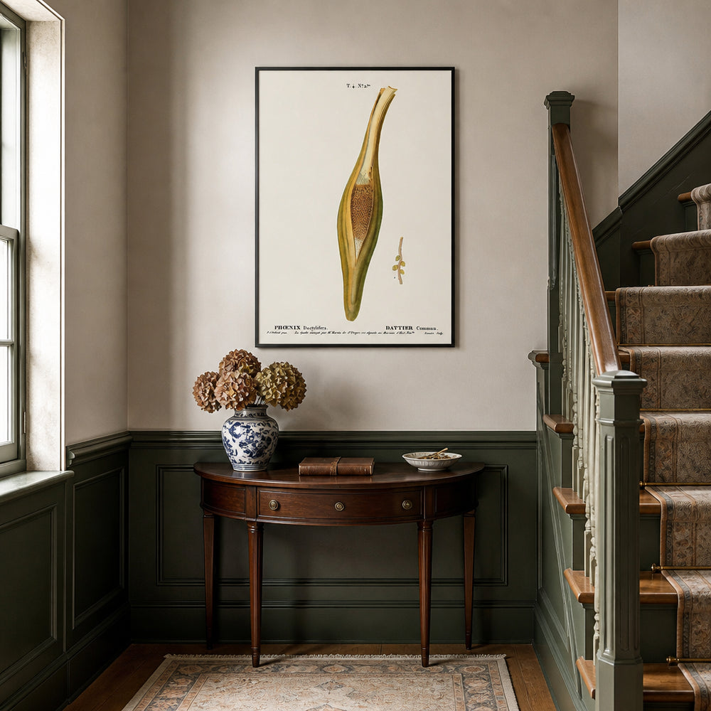 Room mockup featuring Date Palm Phoenix dactylifera Art Print