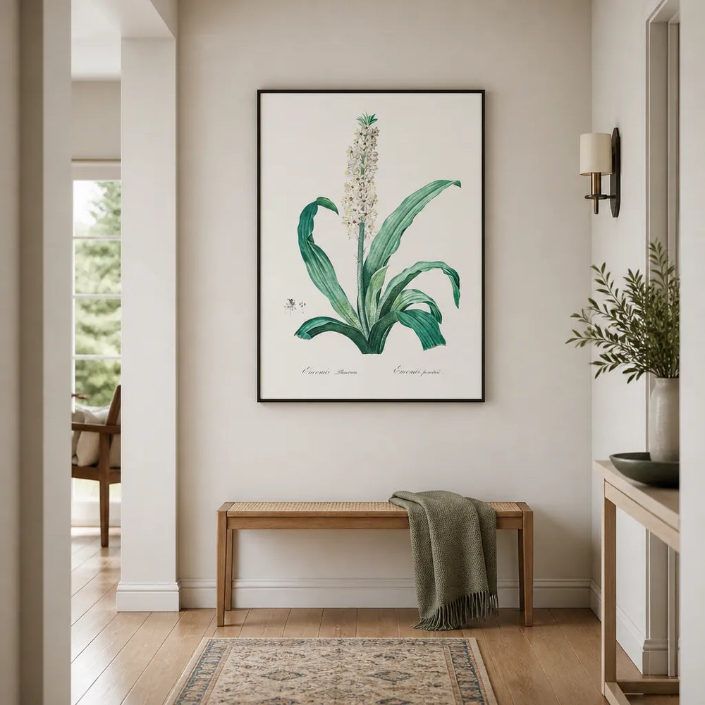 Room mockup featuring Eucomis punctata by Pierre-Joseph Redouté Art Print