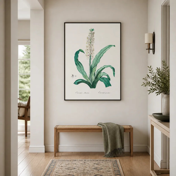 Room mockup featuring Eucomis punctata by Pierre-Joseph Redouté Art Print