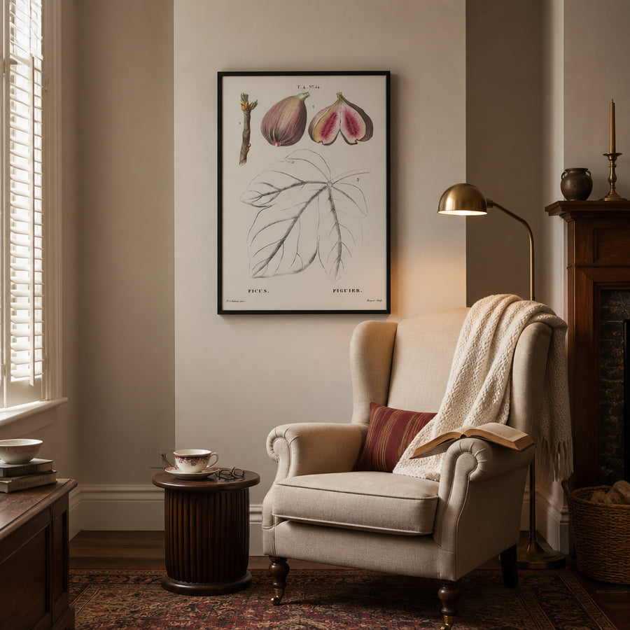 Ficus by Redouté Art Print in a room setting