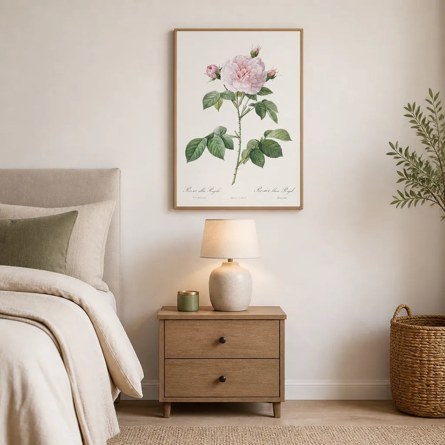 Royal White Rose by Pierre-Joseph Redouté Art Print in a room setting