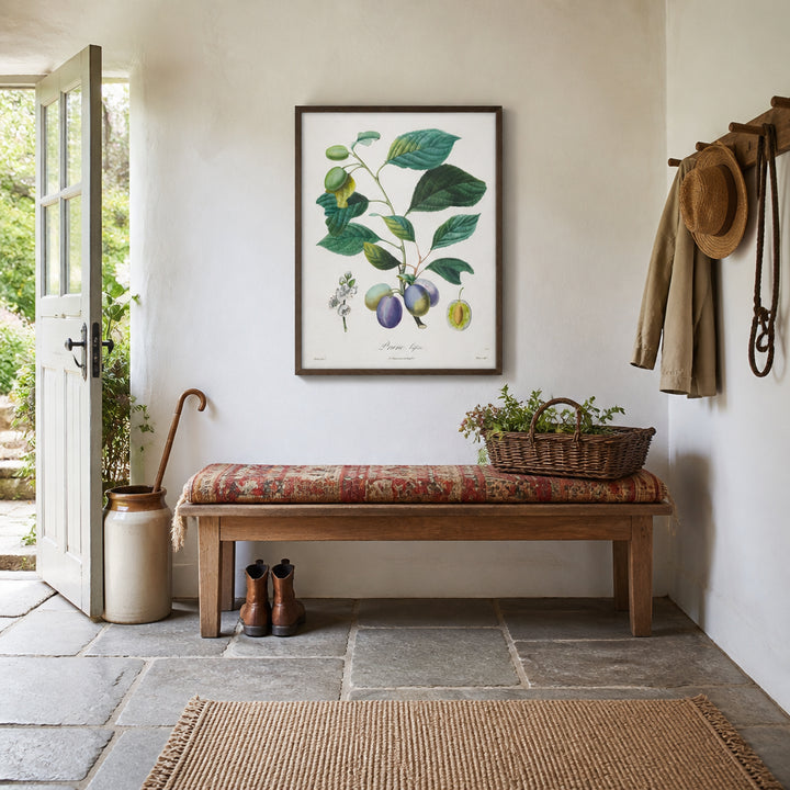 Room mockup featuring Prune Bifère by Henri-Louis Duhamel du Monceau Art Print