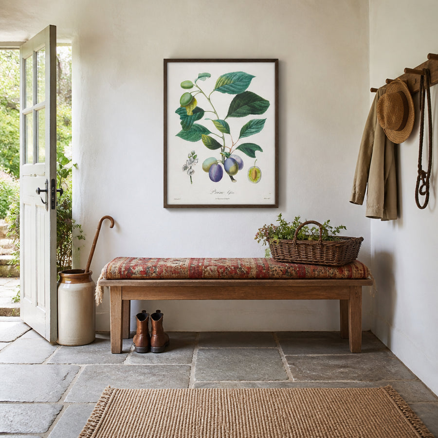 Prune Bifère by Henri-Louis Duhamel du Monceau Art Print in a room setting