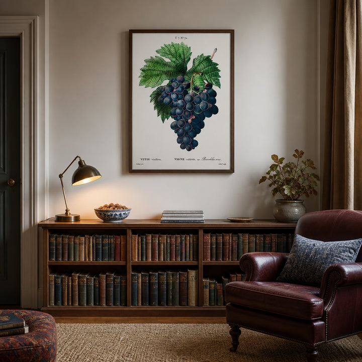 Room mockup featuring Vitis vinifera Deep Blue Grape Cluster Art Print