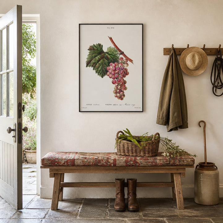 Room mockup featuring Vitis vinifera Hanging Pink Grape Cluster Art Print