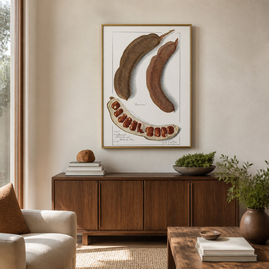 Indian Tamarind by Amanda Almira Newton Art Print in a room setting