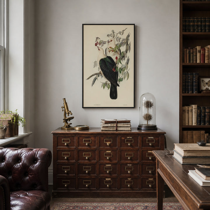 Room mockup featuring White-headed Fruit Pigeon by Elizabeth Gould Art Print