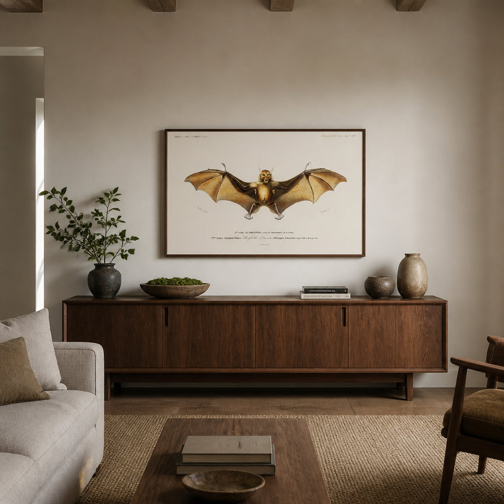 Room mockup featuring Bat Illustration by Orbigny Art Print