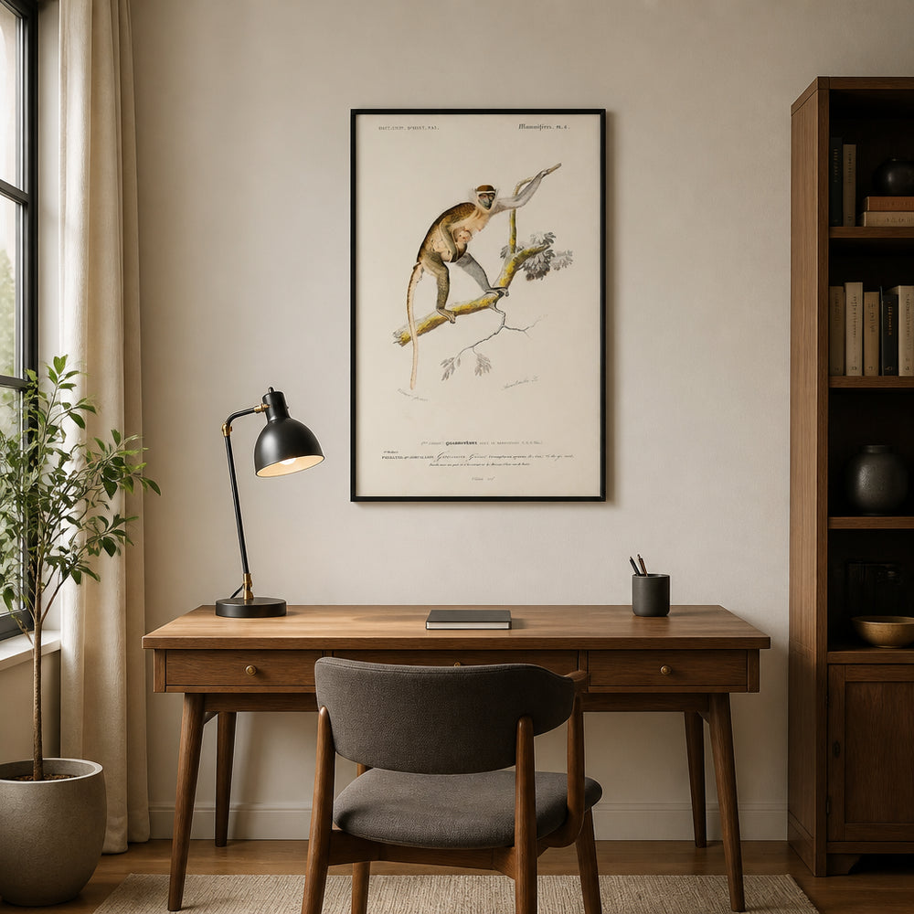 Room mockup featuring Cercopithecus Griseus by D Orbigny Art Print
