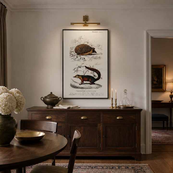 Room mockup featuring European Hedgehog and Treeshrew by Charles Dessalines D Orbigny Art Print