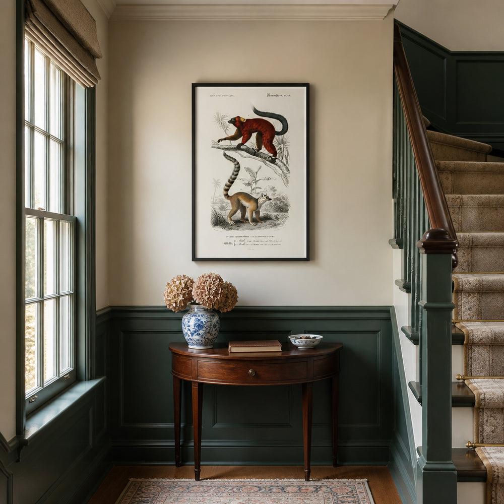 Room mockup featuring Lemurs by Charles Dessalines D Orbigny Art Print