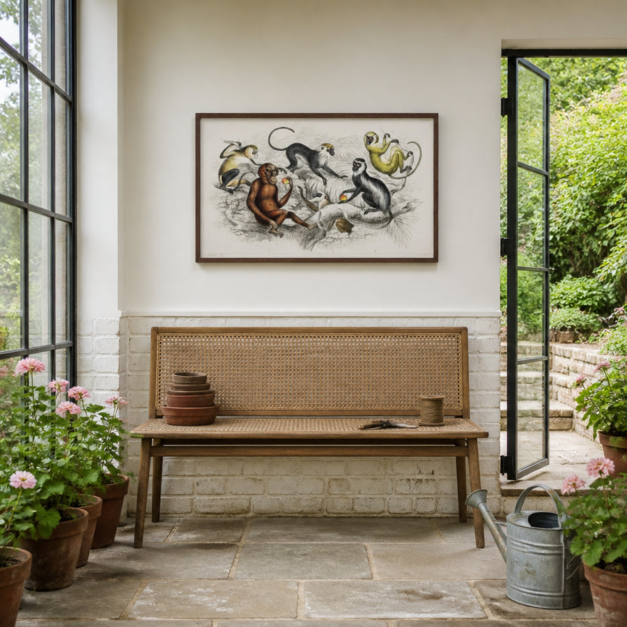 Colorful Primates Art Print in a room setting